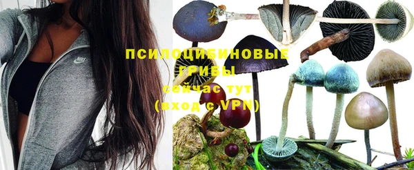 МДМА Богородск