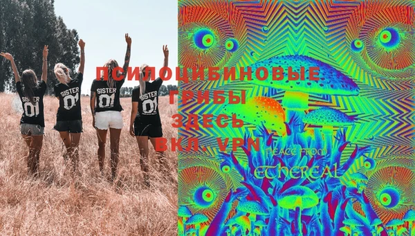 гидра Бронницы